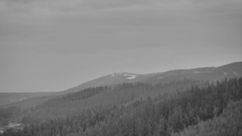 Ski areál U Sachovy studánky