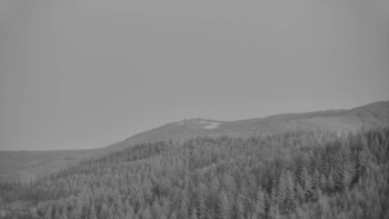 Ski areál U Sachovy studánky