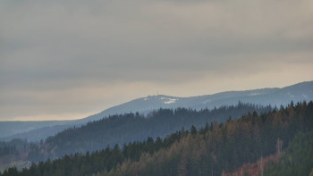 Ski areál U Sachovy studánky