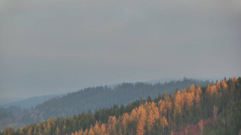 Ski areál U Sachovy studánky