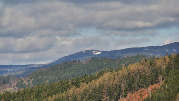 Ski areál U Sachovy studánky