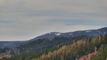 Ski areál U Sachovy studánky