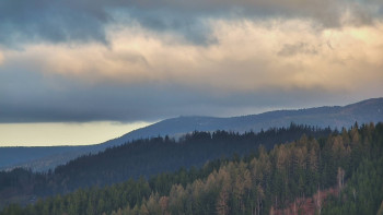 Ski areál U Sachovy studánky