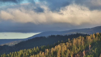 Ski areál U Sachovy studánky