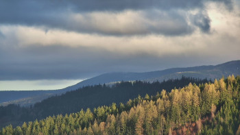 Ski areál U Sachovy studánky