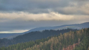 Ski areál U Sachovy studánky