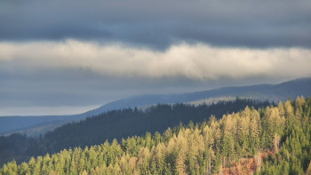 Ski areál U Sachovy studánky