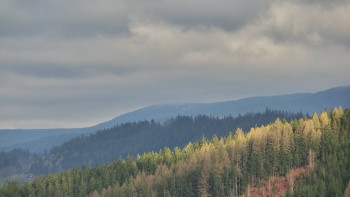 Ski areál U Sachovy studánky