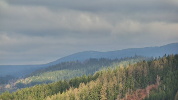 Ski areál U Sachovy studánky