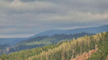 Ski areál U Sachovy studánky