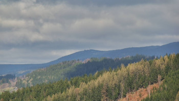 Ski areál U Sachovy studánky