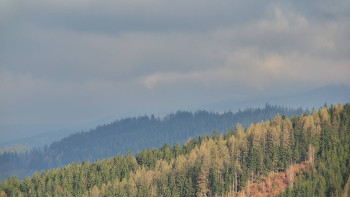 Ski areál U Sachovy studánky