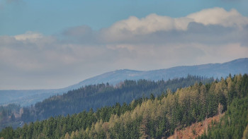 Ski areál U Sachovy studánky
