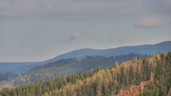Ski areál U Sachovy studánky