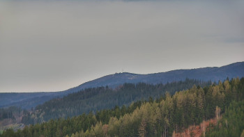 Ski areál U Sachovy studánky