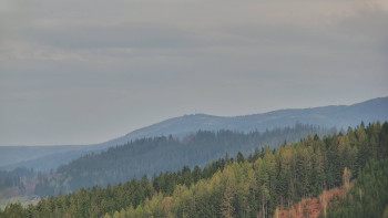 Ski areál U Sachovy studánky