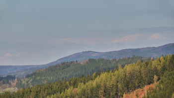 Ski areál U Sachovy studánky