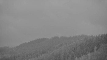 Ski areál U Sachovy studánky