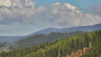 Ski areál U Sachovy studánky