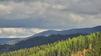 Ski areál U Sachovy studánky