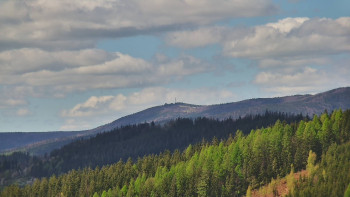 Ski areál U Sachovy studánky