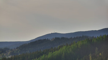 Ski areál U Sachovy studánky