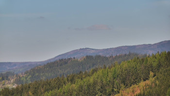 Ski areál U Sachovy studánky