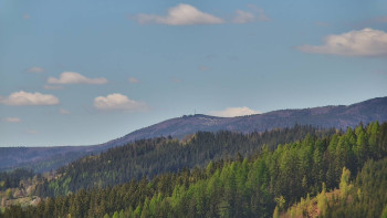 Ski areál U Sachovy studánky