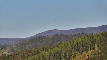 Ski areál U Sachovy studánky