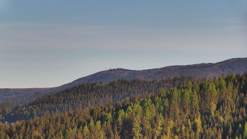Ski areál U Sachovy studánky