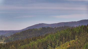 Ski areál U Sachovy studánky