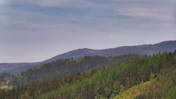 Ski areál U Sachovy studánky