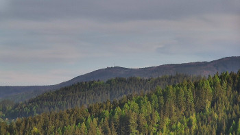 Ski areál U Sachovy studánky