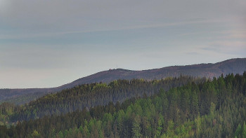 Ski areál U Sachovy studánky