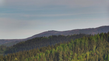 Ski areál U Sachovy studánky