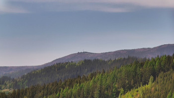 Ski areál U Sachovy studánky