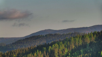Ski areál U Sachovy studánky