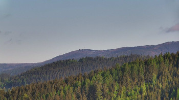Ski areál U Sachovy studánky