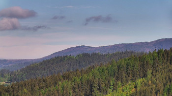 Ski areál U Sachovy studánky