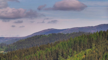Ski areál U Sachovy studánky
