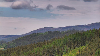 Ski areál U Sachovy studánky