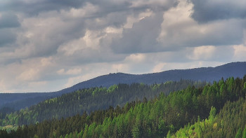 Ski areál U Sachovy studánky