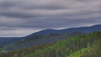 Ski areál U Sachovy studánky