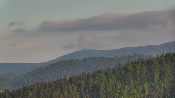 Ski areál U Sachovy studánky