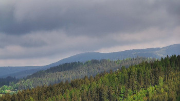Ski areál U Sachovy studánky