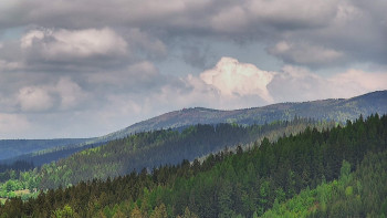 Ski areál U Sachovy studánky