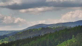 Ski areál U Sachovy studánky