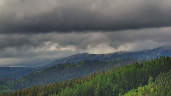 Ski areál U Sachovy studánky