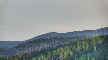Ski areál U Sachovy studánky