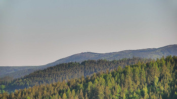 Ski areál U Sachovy studánky